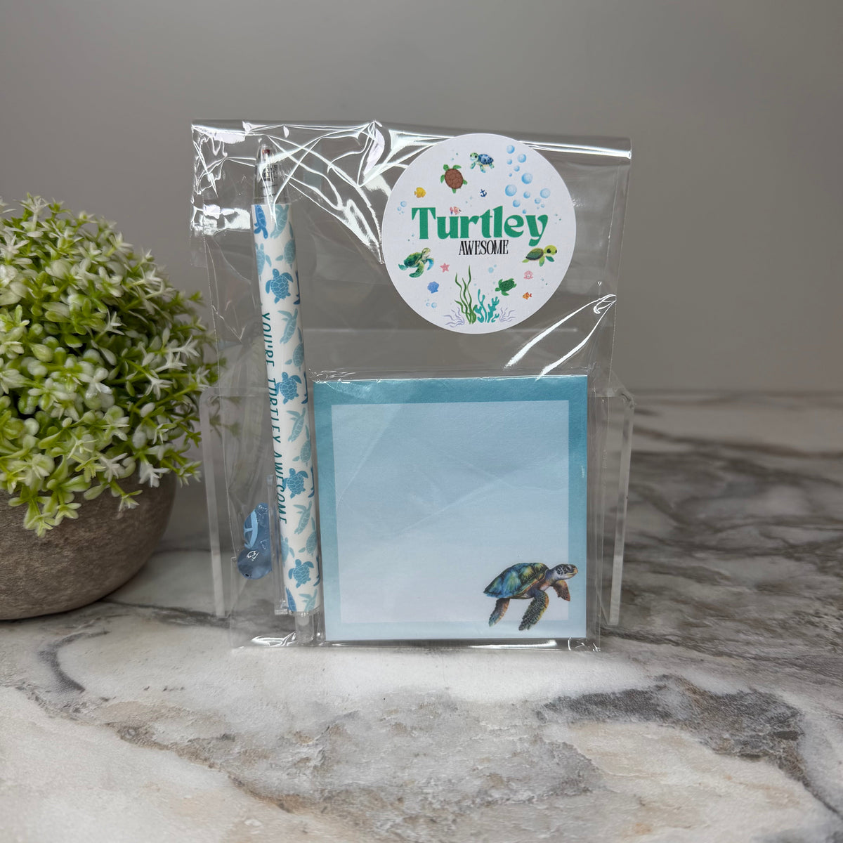 Bundled Set - Turtle